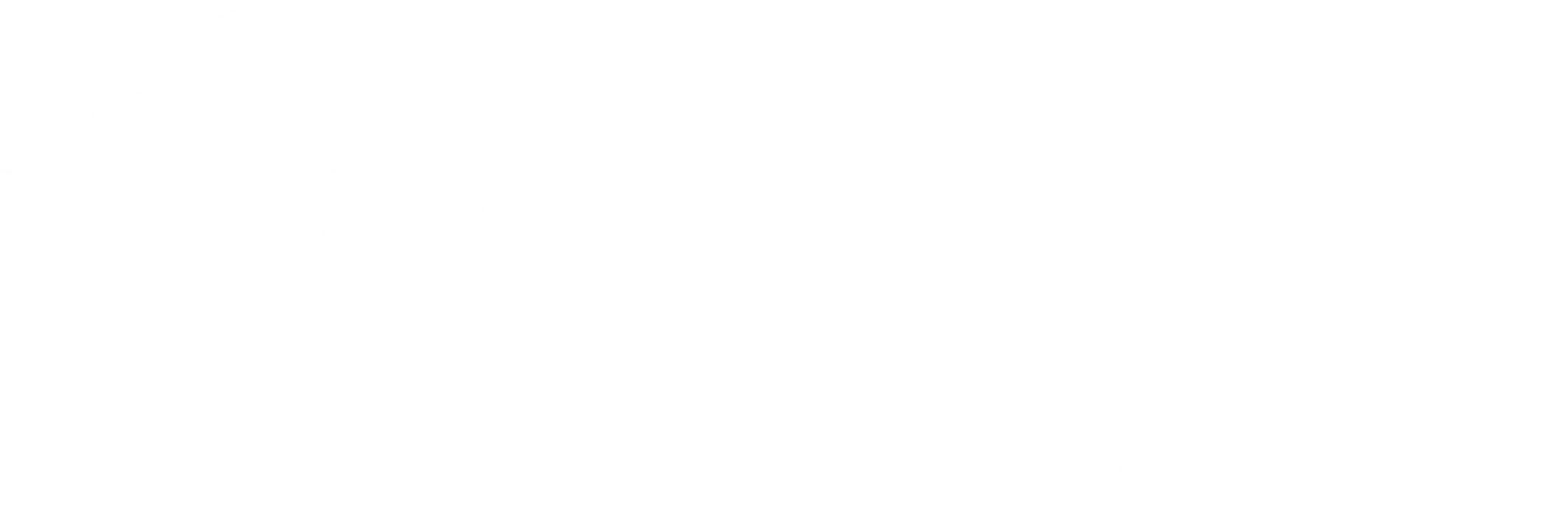 (주)라빈